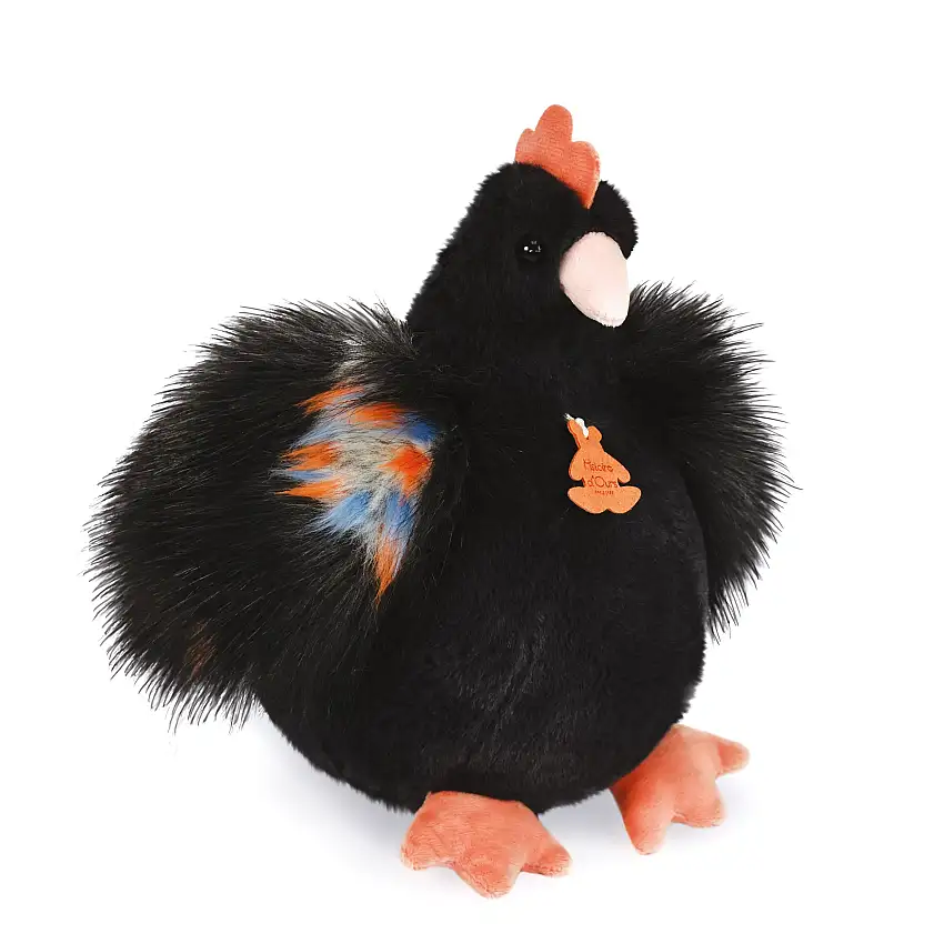 Histoire D’ours Black Chicken