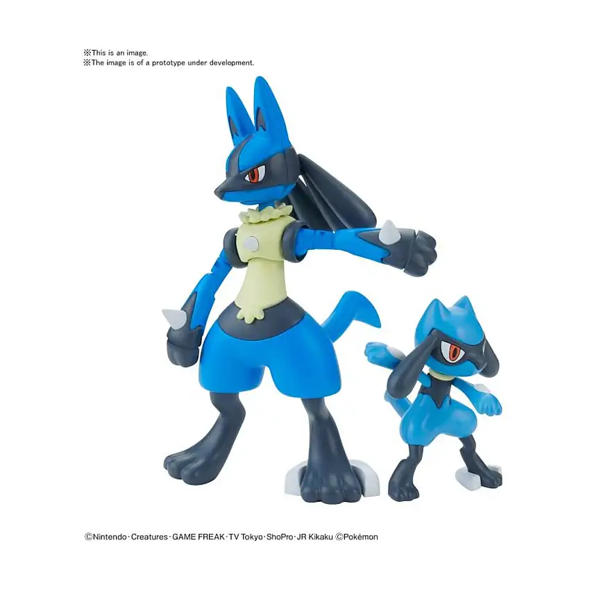 Riolu & Lucario