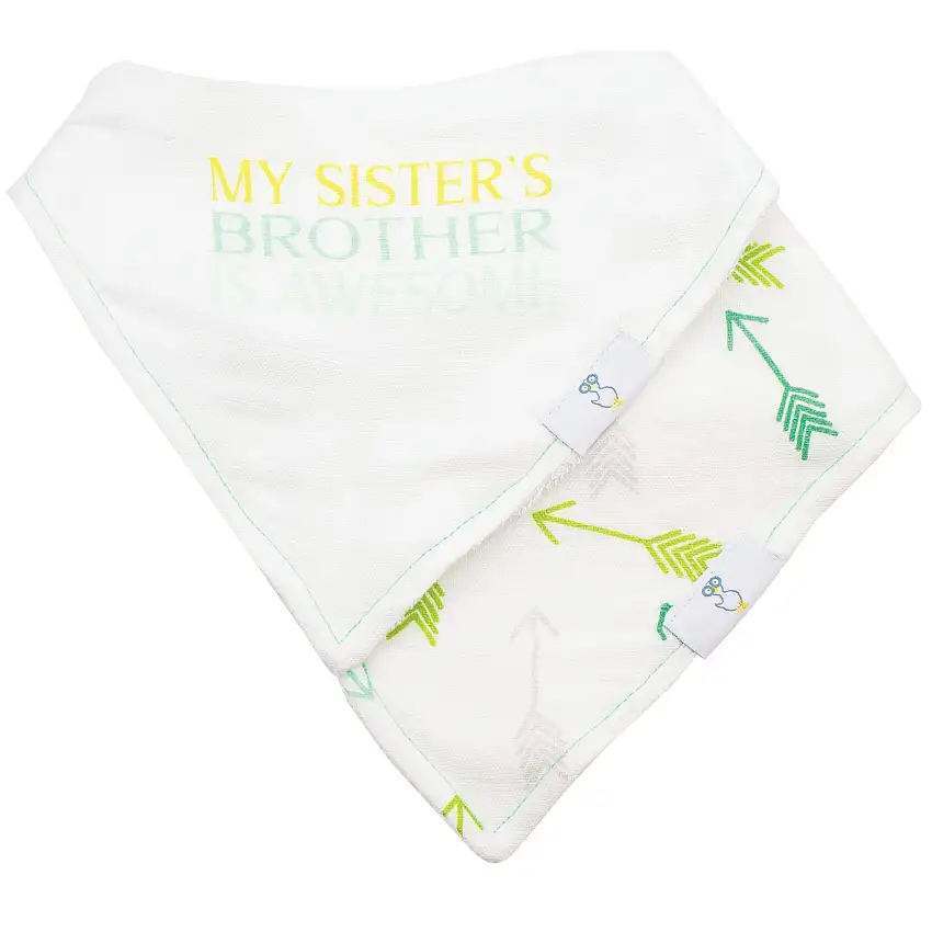 Brother And Arrows 2 Pack Muslin & Terry Cloth Bib Set