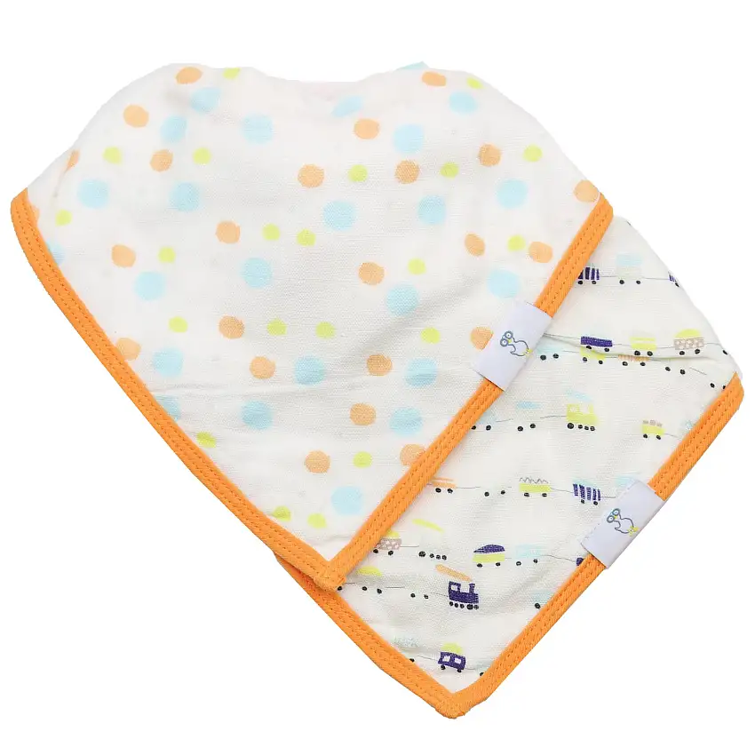 Circles And Trains 2 Pack Muslin & Terry Cloth Bib Set