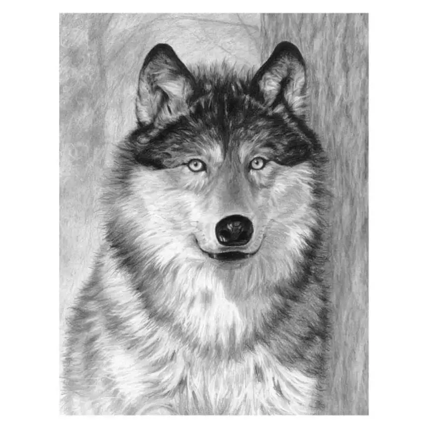 Alpha (Wolf Face) Sketching Made Easy Age 8+ (11.25"x15.375") Royal & Langnickel