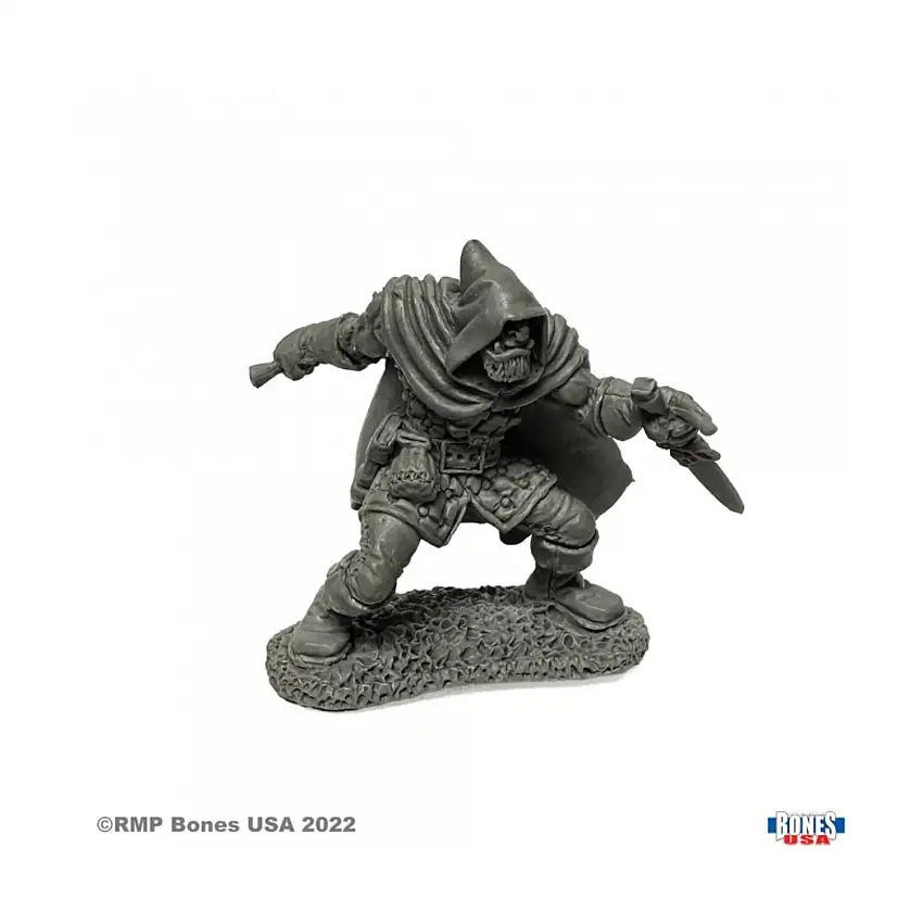 Rogan, Half Orc Thief